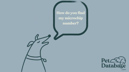 how do i find my pet microchip number