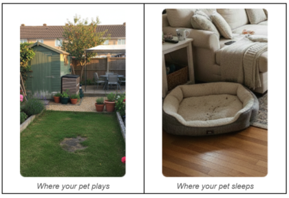 Two images of the pets' living space: • Where your dog sleeps • Where your dog plays These help us tailor the health insights to your dog’s home environment.