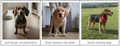 Images showing three cats in different positions, as a guide on how to take the best photos of them. Just the cat, no obstructions Avoid: people in the photo Avoid: blanket covering body