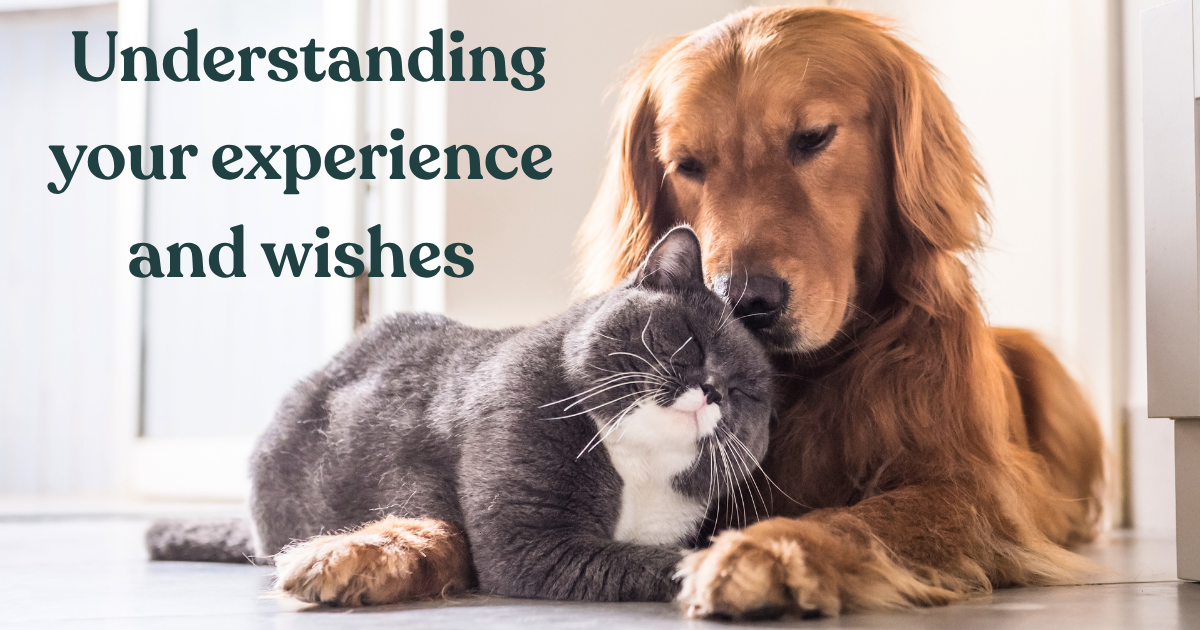 Your experience matters